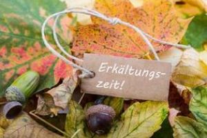 Herbstlaub, Eicheln und Schild mit Erkältungszeit.