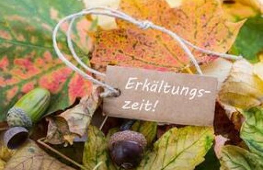 Herbstlaub, Eicheln und Schild mit Erkältungszeit.