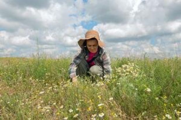 Frau mit Hut hockt in Blumenwiese.