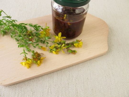 Johanniskraut und daraus hergestelltes Rotöl im Glasbecher.