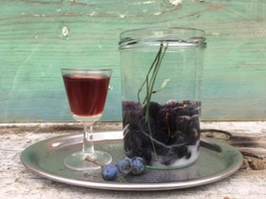 Ein Glas gefüllt mit Schlehengin steht neben einem Glas mit Schlehen.