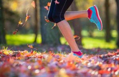 Im Herbst macht das Joggen besonders Spaß.