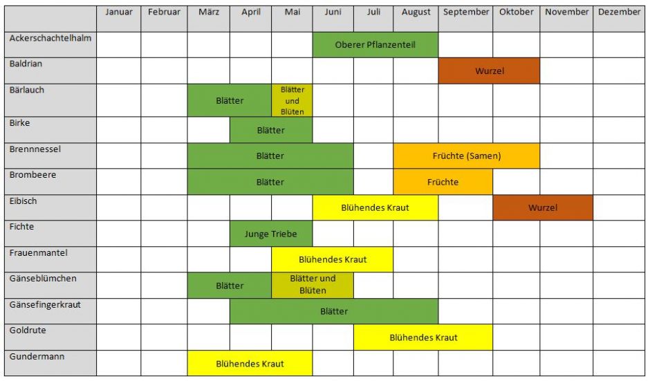 Tabelle, vertikal: Pflanzen, horizontal: Monate