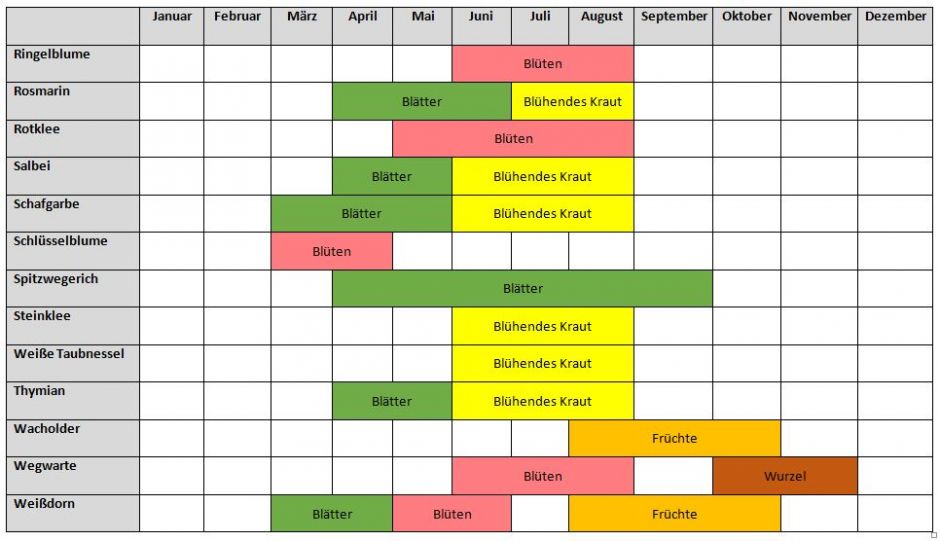 Tabelle, vertikal: Pflanzen, horizontal: Monate