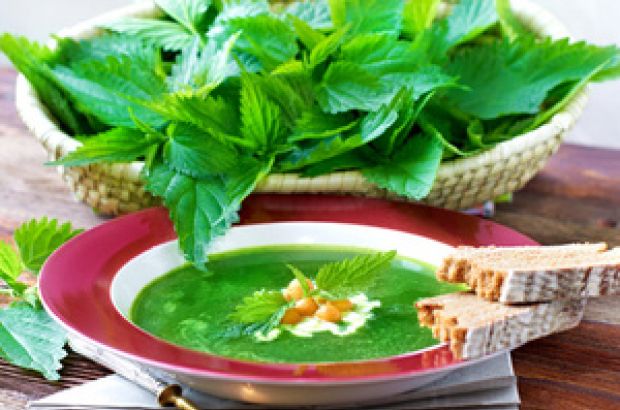 Ein Teller Brennnesselsuppe steht vor einem Korb Brennnesseln.